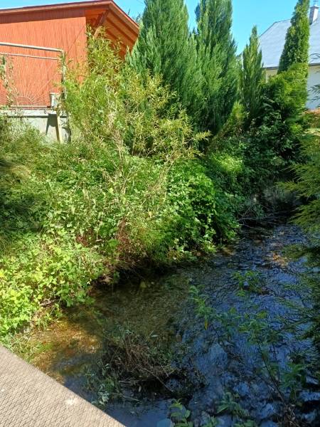 The garden of the cottage in Tužina with a stream and lush vegetation.