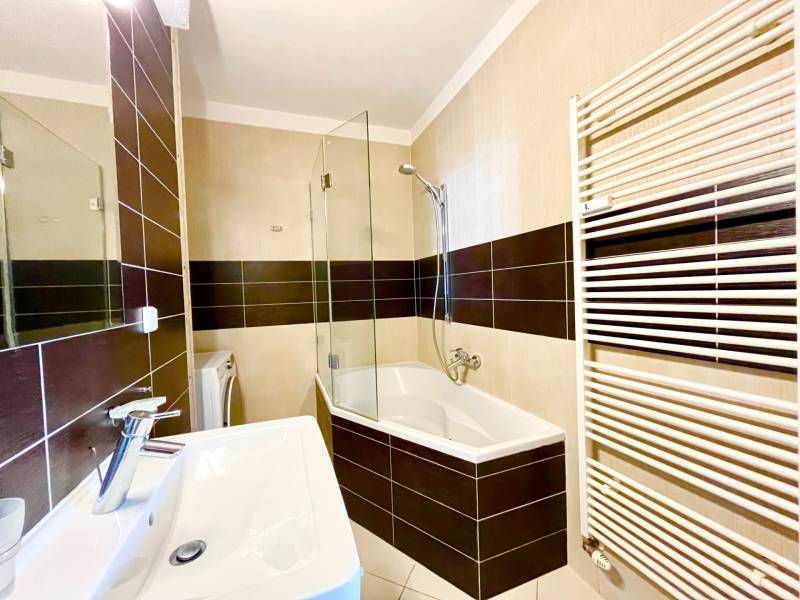 Bathroom with a shower, sink, and ladder radiator, equipment in a 2-room apartment.