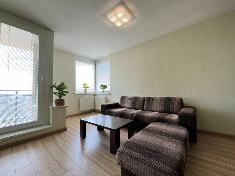 A living room in a two-room apartment with a dark brown sofa and houseplants by the windows.
