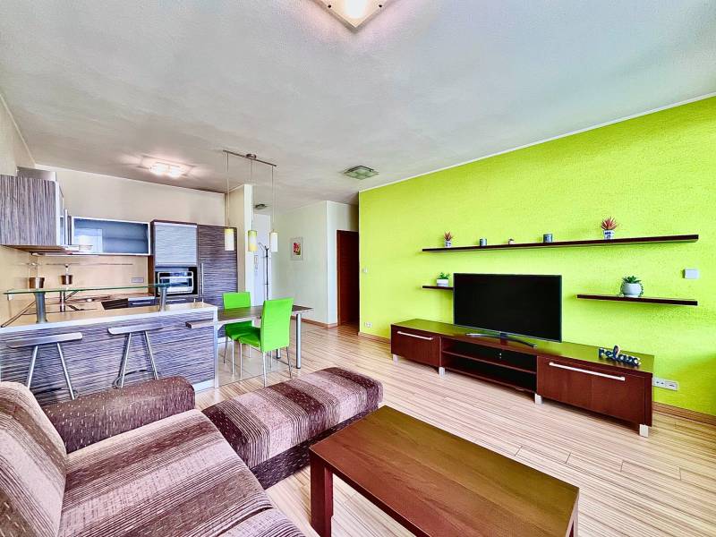 Living room with a kitchenette, contrasting green walls, dark wood furniture.