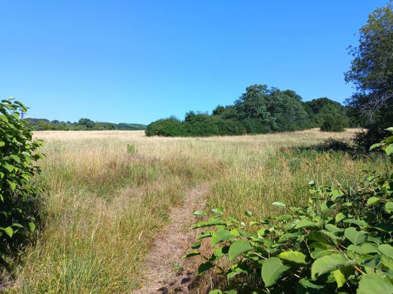 Lands - housing in Prievidza with greenery and a meadow path under the blue sky.