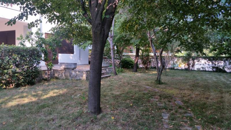 A garden with a lawn and trees at a family house in Vrsi, surrounded by greenery and shrubs.