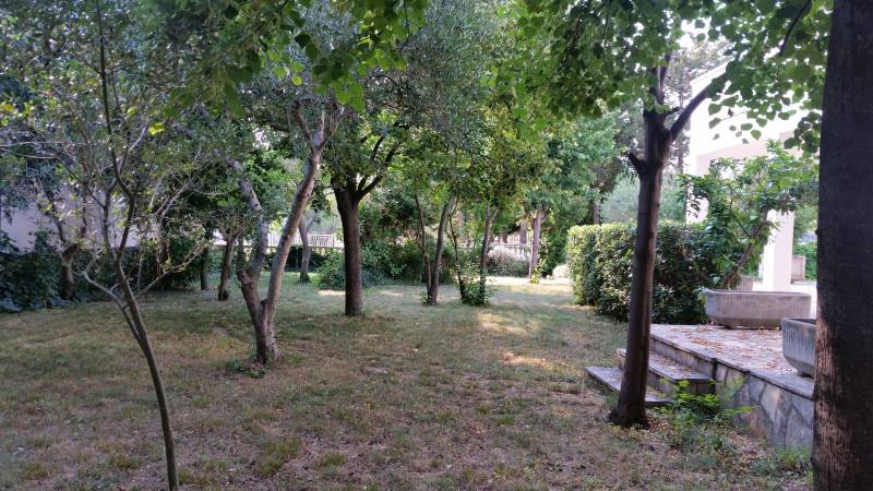 The garden of a family house in Vrsi with dense vegetation and lawn.