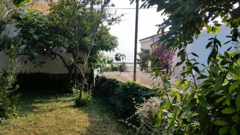 The garden of a family house in Vrsi with a view of the sea amidst greenery.