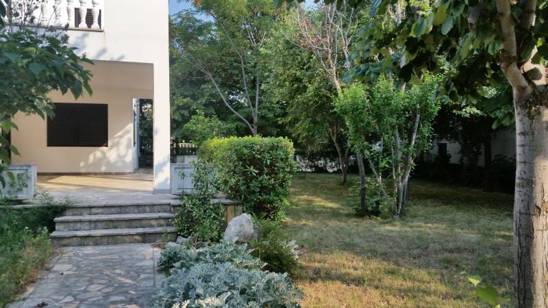 A family house in Vrsi with a spacious garden, surrounded by many trees and greenery.