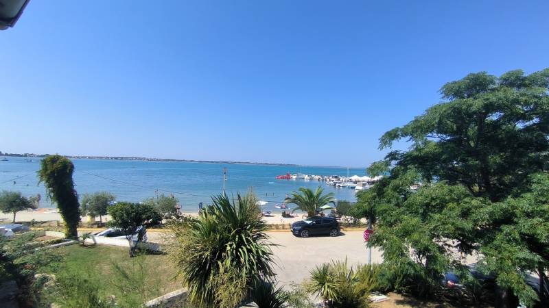 A beach near a family house in Vrsi with a view of the sea and palm trees.