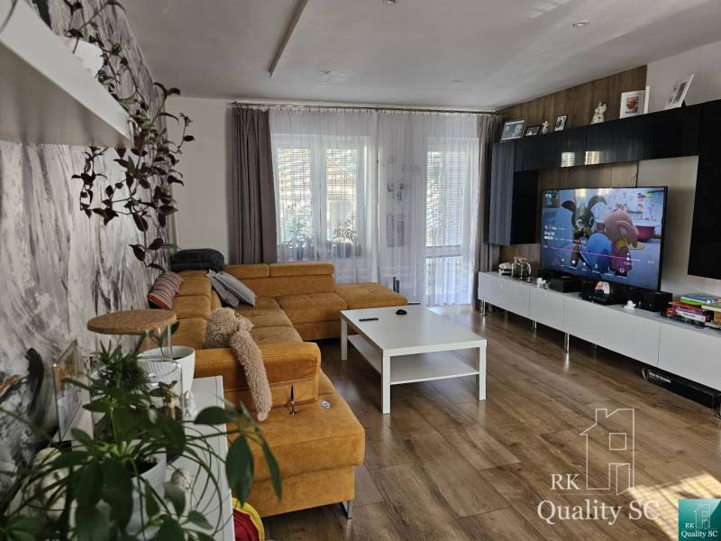 Living room in a family house with a large sofa, plants, and a TV on the wall.