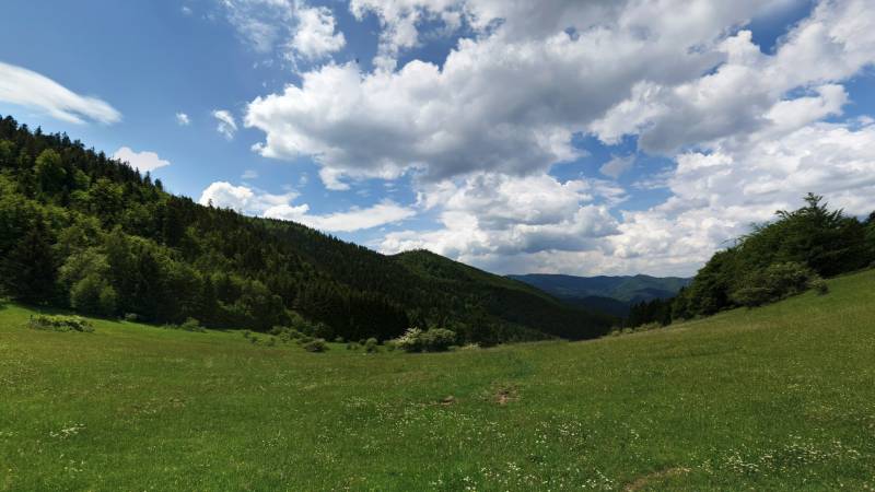 A green meadow surrounded by forests and hills in Čavoj, ideal for agricultural and forestry land.