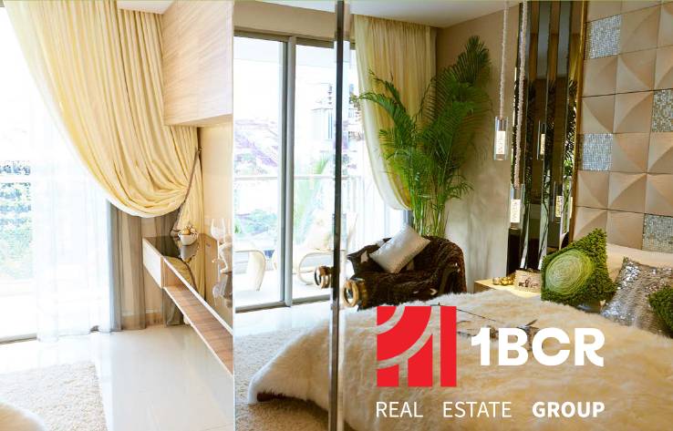 Bright living room in a studio apartment with curtains and a plant.