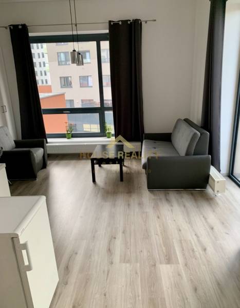 Living room in a two-room apartment with two sofas and a large window.