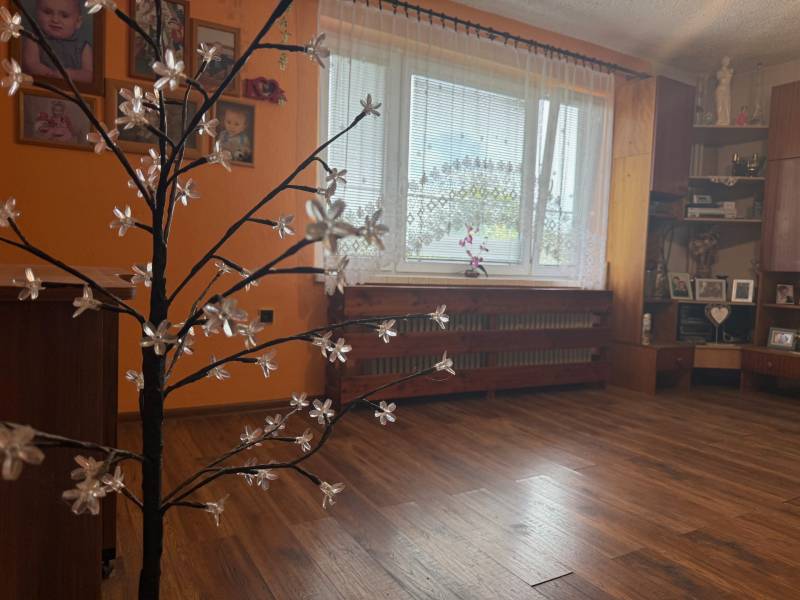 Rodinný dom s drevenou podlahou, ozdobným stromčekom a rodinnými fotografiami na stenách.