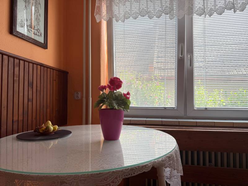 Okná s čipkovanou záclonou a kvetom v rodinnom dome.