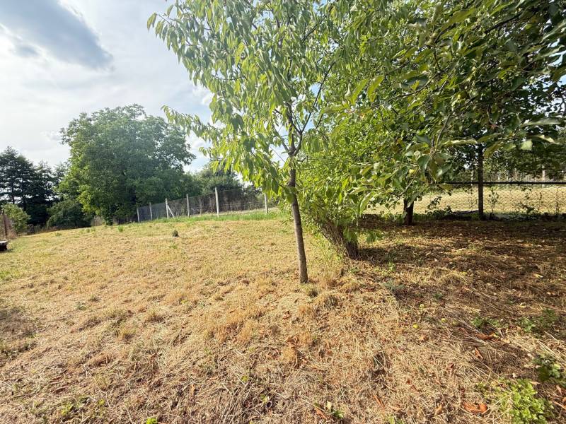 Záhrada rodinného domu v Skačanoch obklopená stromami a oplotením.