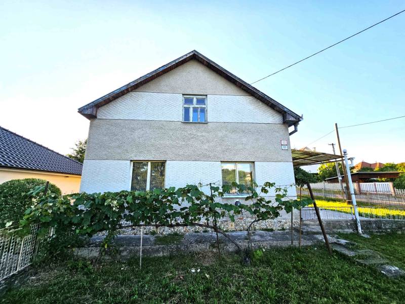 A family house in Kuzmice with a landscaped garden and vine in front of the facade.