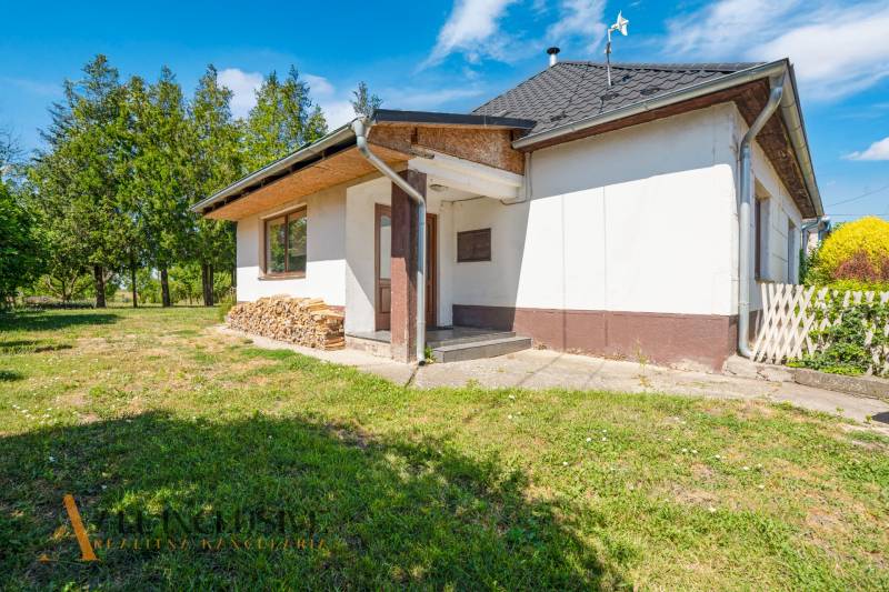 Family house in Tvrdošovce, spacious garden, a pile of wood next to the driveway.