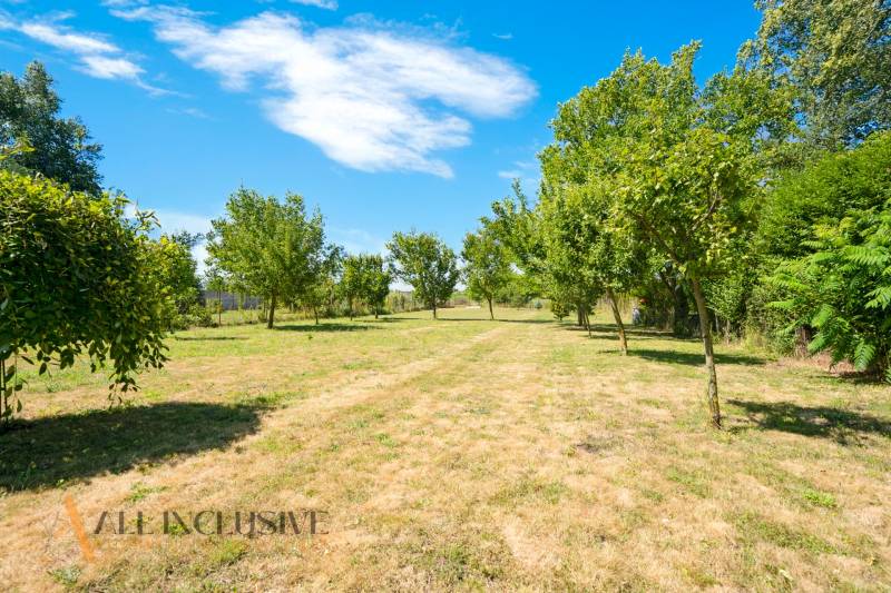 A garden with a lawn and trees at a family house in Tvrdošovce, blue sky.