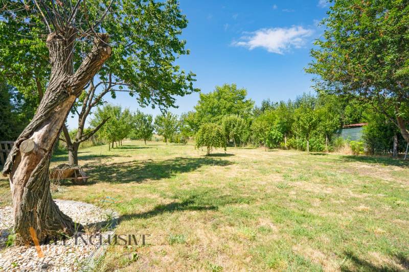 A garden at a family house in Tvrdošovce with fruit trees and a grassy area.