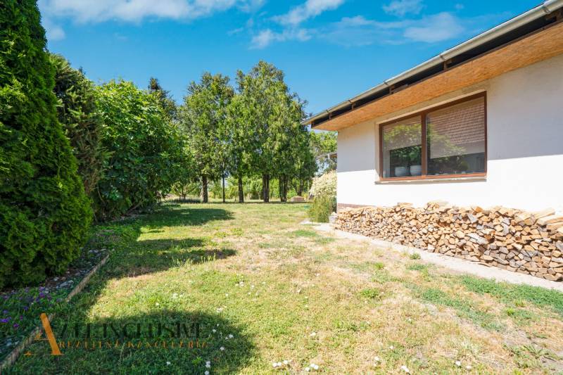 The garden of a family house in Tvrdošovce with a lawn, wood, and green trees.
