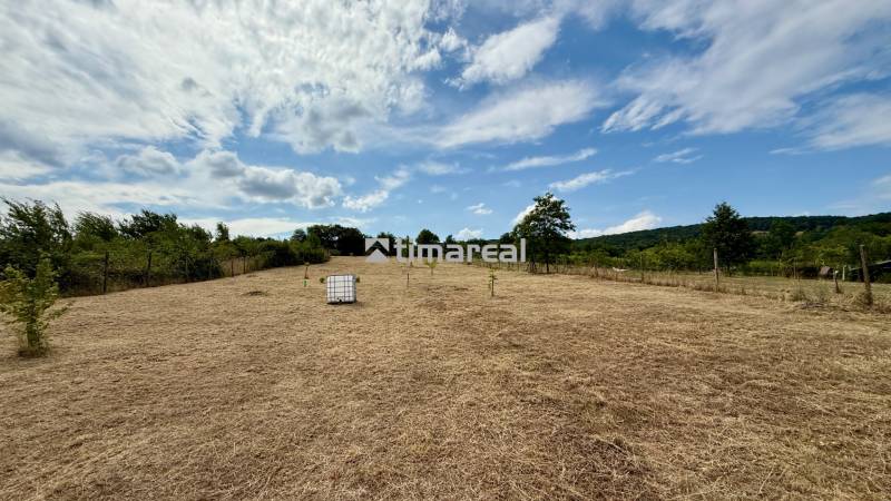Agricultural and forest land on Sadova Street in Limbach with greenery and fencing.