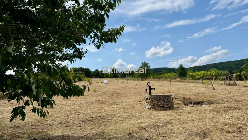Agricultural and forest land in Limbach, Sadová, with a spring and a view of nature.