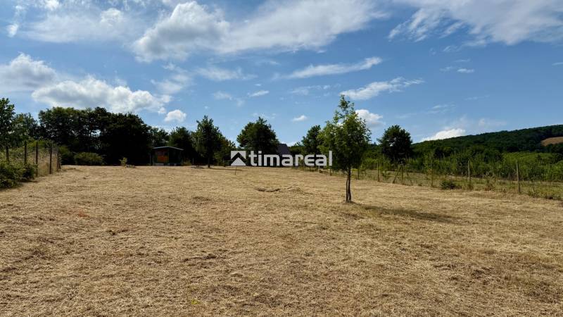 Free agricultural and forest land on Sadová in Limbach, with trees and a cottage.