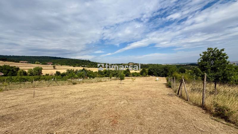 Agricultural and forest land on Sadová Street in Limbach with a view of nature.