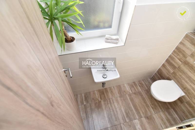 A bathroom in a family house with white tiles, a sink, a toilet, and a houseplant.