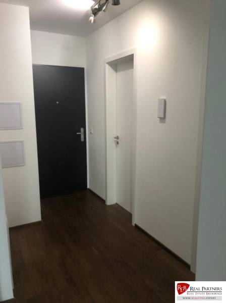 A hallway in a 2-room apartment with a dark floor, white walls, and black doors.