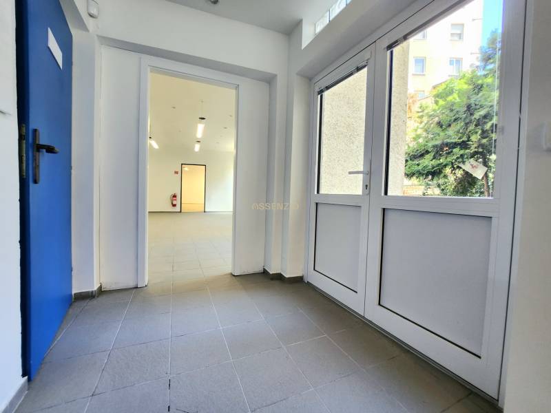 A hallway with white walls, blue doors, and an entrance to commercial premises.