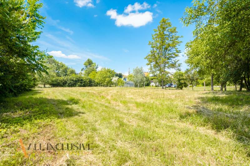 Garden in Kynceľové Kračany, Dunajská Streda, suitable for residential plots, with greenery.