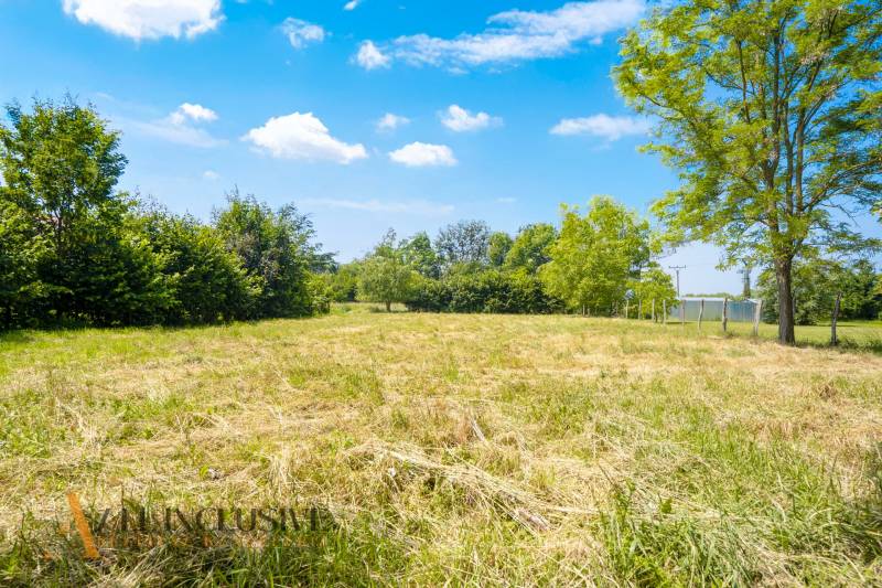 Grassy area in Kynceľové Kračany, Dunajská Streda surrounded by trees. Plots - residential.