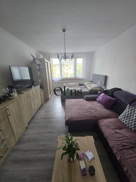 Living room with a sofa, TV, cabinets, and a bed in a two-room apartment.