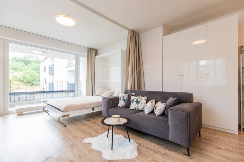 A room with a sofa, a pull-out bed, a window, and a wooden floor in a studio apartment.