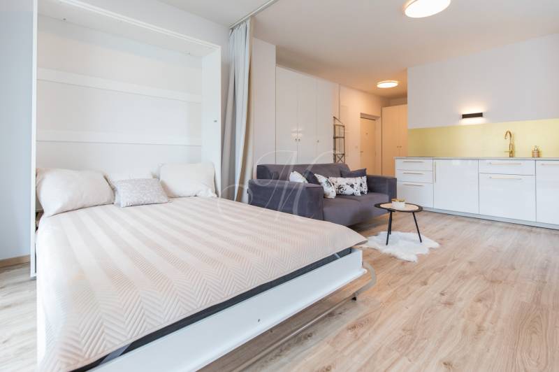 Interior of a 1-room apartment with a bed, sofa, kitchenette, and table.