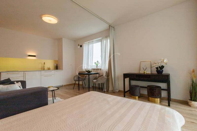 Interior of a 1-room apartment with a bright kitchen, dining table, and decorations.