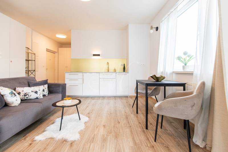 Living room with a kitchenette, dining table, and sofa in a studio apartment.
