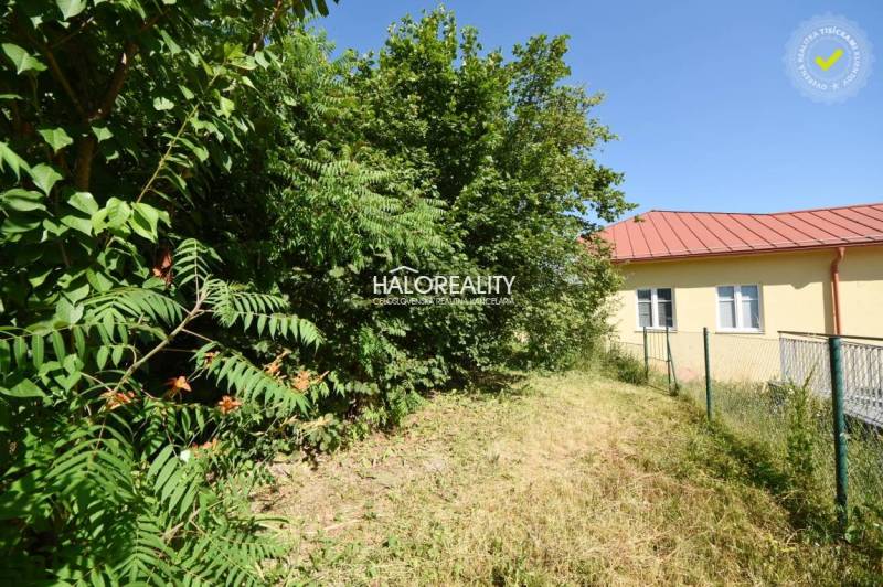 Gardens in Nová Baňa with a house, fence, and dense greenery. The sunny day encourages a peaceful walk.