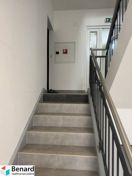 A staircase in a building with a railing and doors, suitable for a studio apartment.