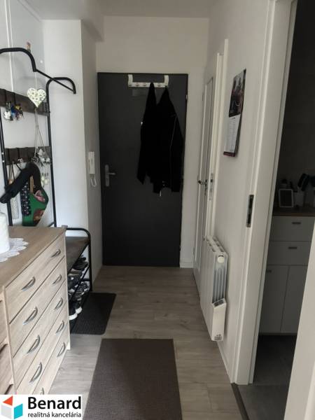 Entrance hall in a one-room apartment with coat racks, shoe cabinets, and wall decorations.