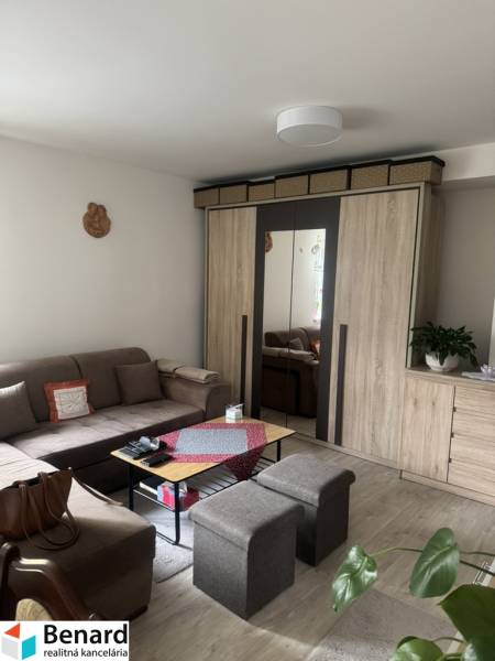 A comfortable living room in a studio apartment with a sofa, cabinet, and coffee table.