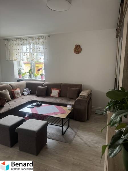 Living room in a one-room apartment with a sofa, table, and plants on the window.