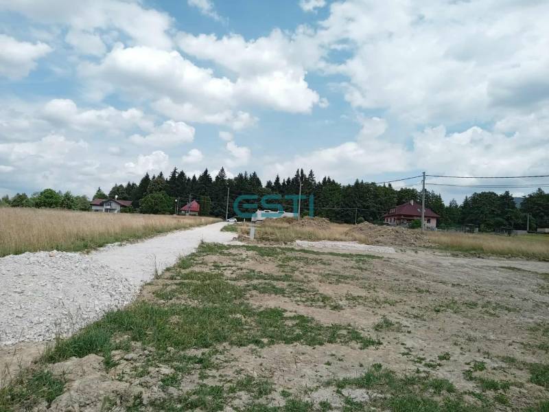 A dirt road leading to several houses in Kunerad, surrounding residential plots.