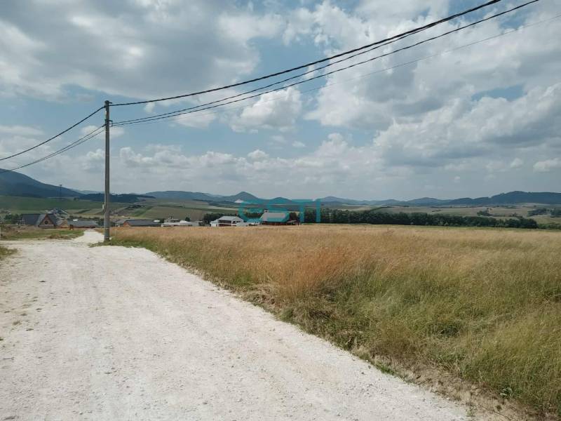 The landscape in Kunerad with a paved road, residential plots, and a view of the mountains.