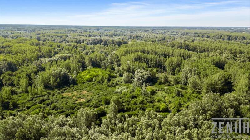 The forests in Dobrohošť offer residential plots surrounded by nature and greenery.