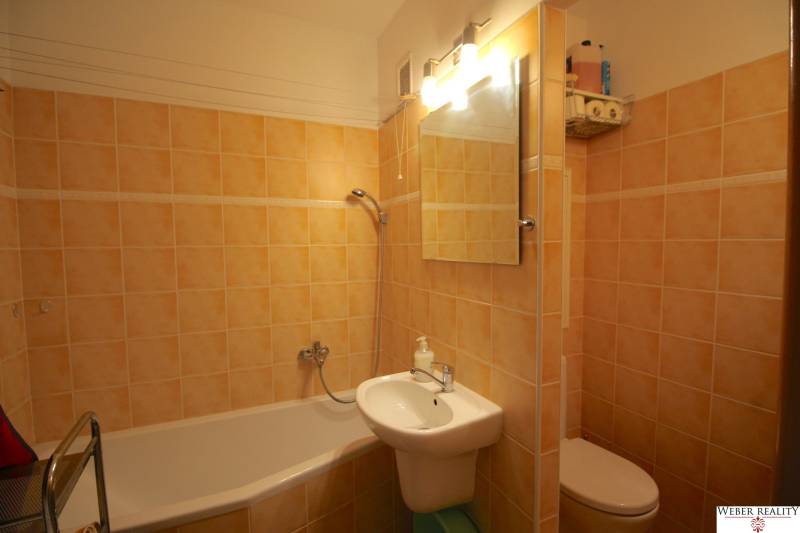 A bathroom in a three-room apartment with a shower, a mirror, and brown tiles.