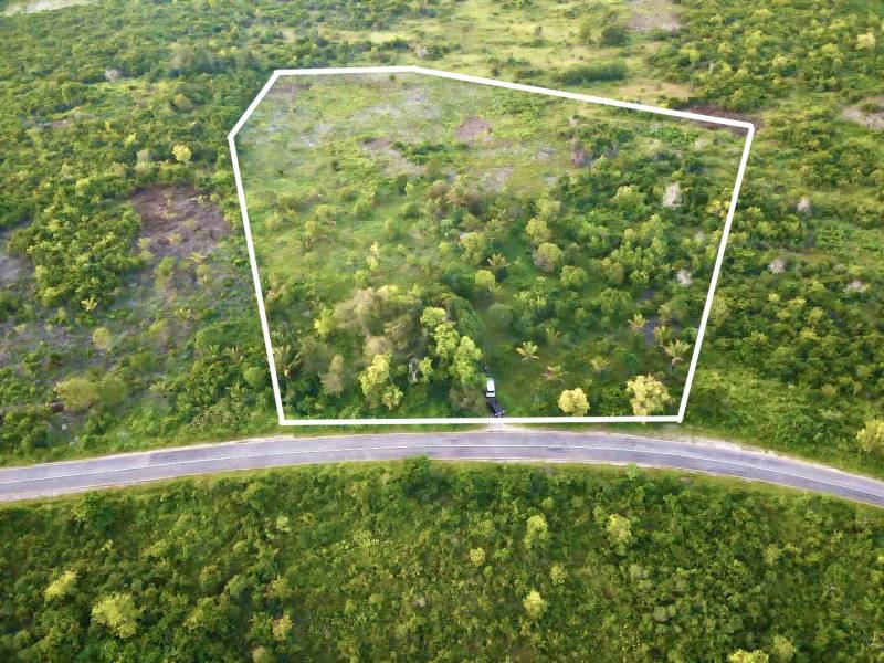 Plots - commercial in Kizimkazi, Unguja South; road lined with vegetation, delineated by a white line.