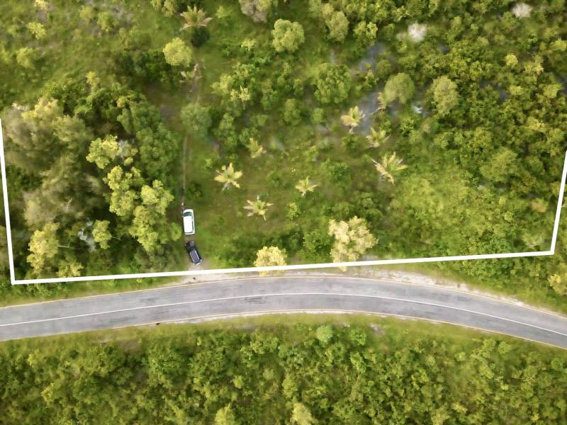 Greenery with defined boundaries of the plot in Kizimkazi, Unguja South area.