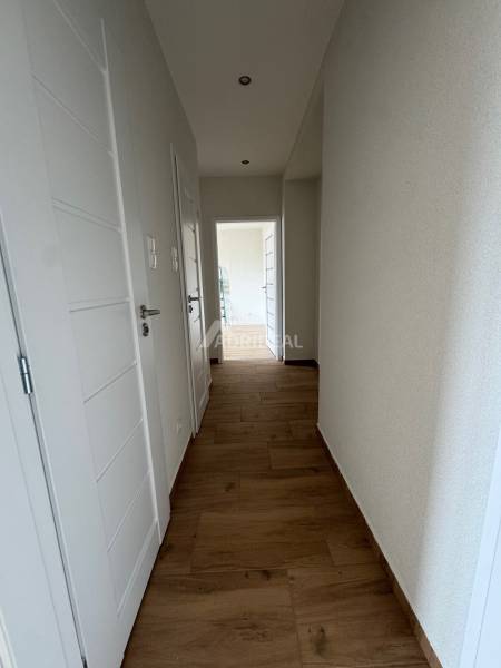 A narrow hallway leads to rooms with light-colored doors in a 2-room apartment.