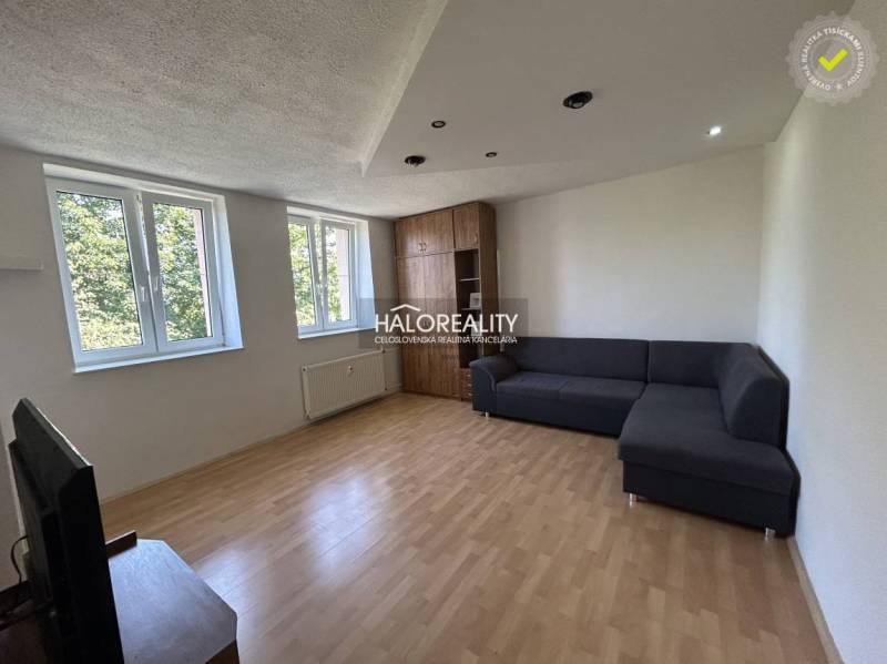 Living room with a dark sofa, wooden floor, and two windows in a studio apartment.