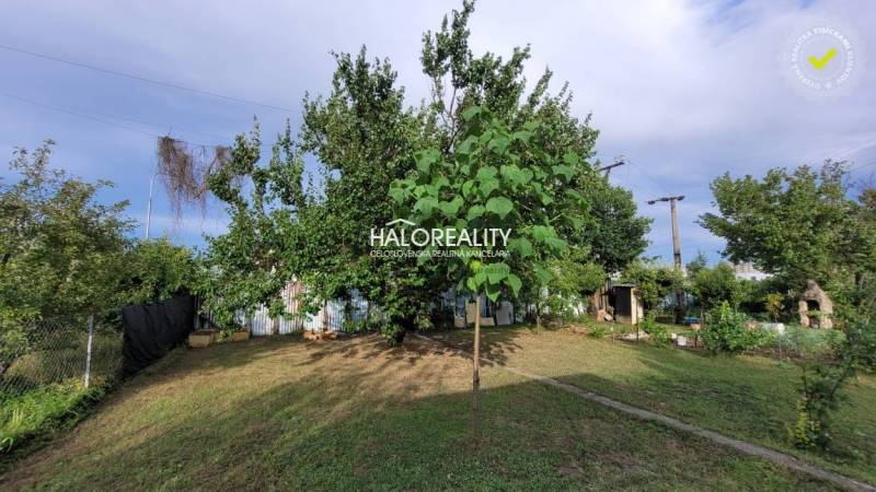 A garden in Nitra with dense greenery and fencing, a peaceful place for relaxation.